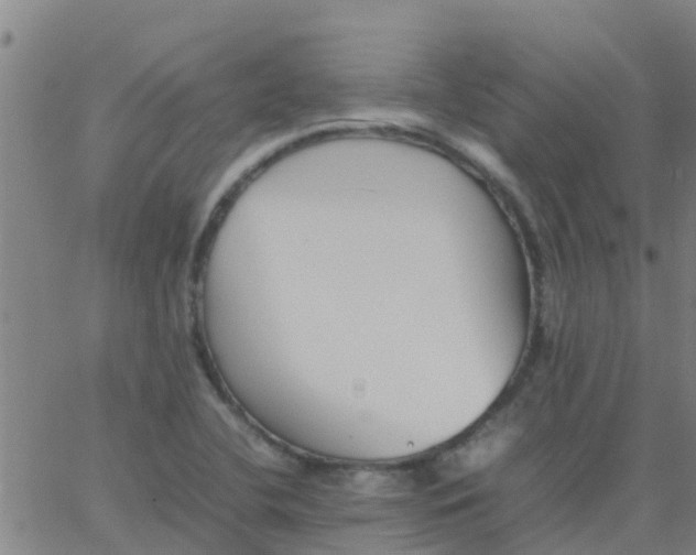 X0000066081412200603311924