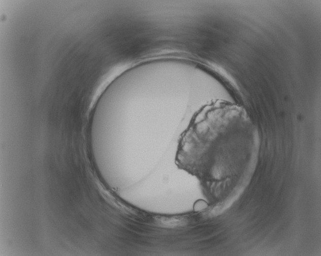 X0000066081413200603311924