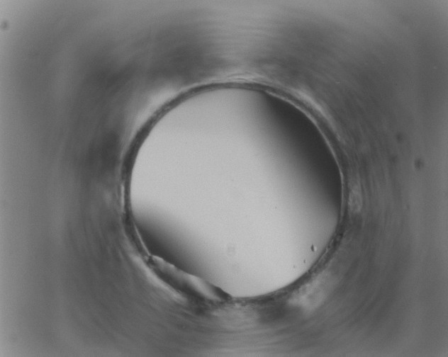 X0000066081414200603311924