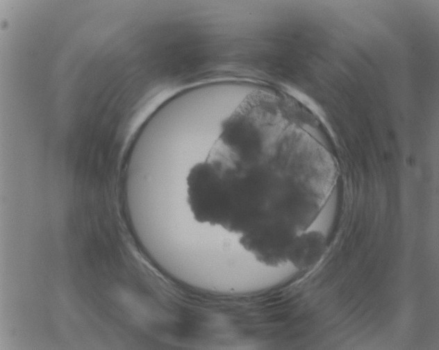 X0000066081415200603311924