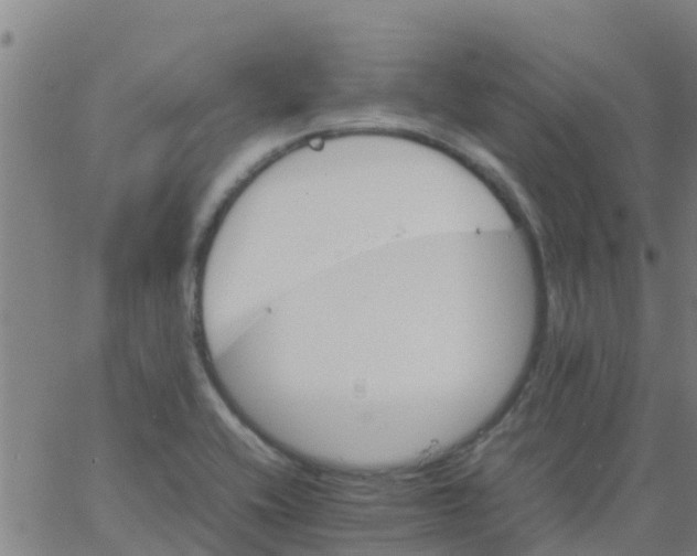 X0000066081416200603311924