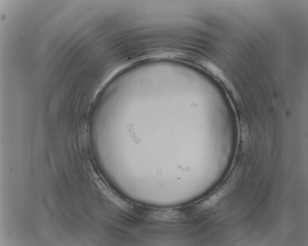 X0000066081417200603311924