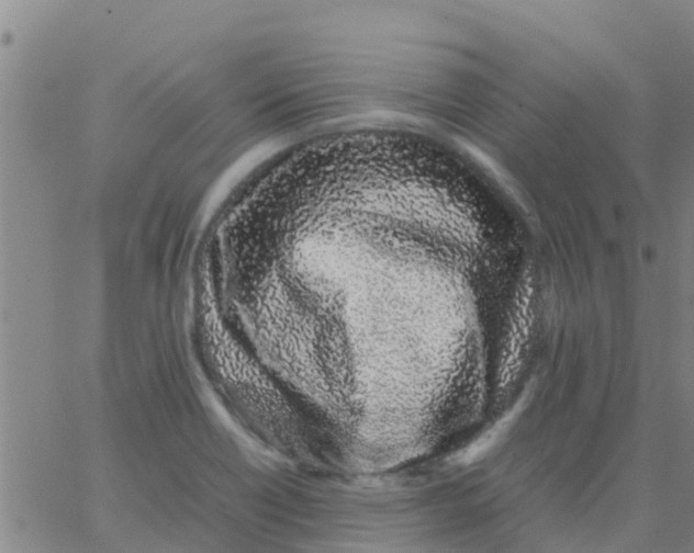 X0000066081418200603311924