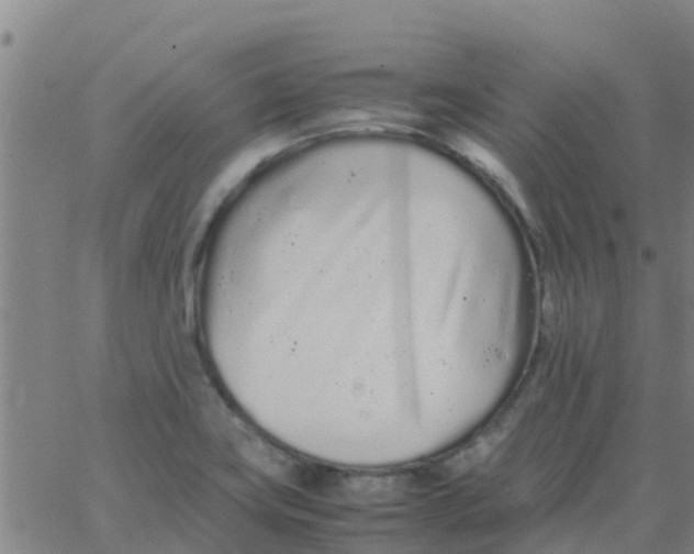 X0000066081419200603311924