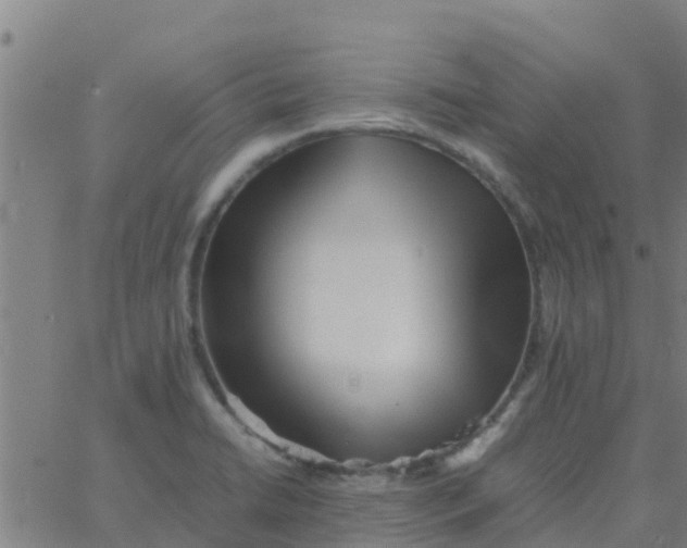 X0000066081422200603311924