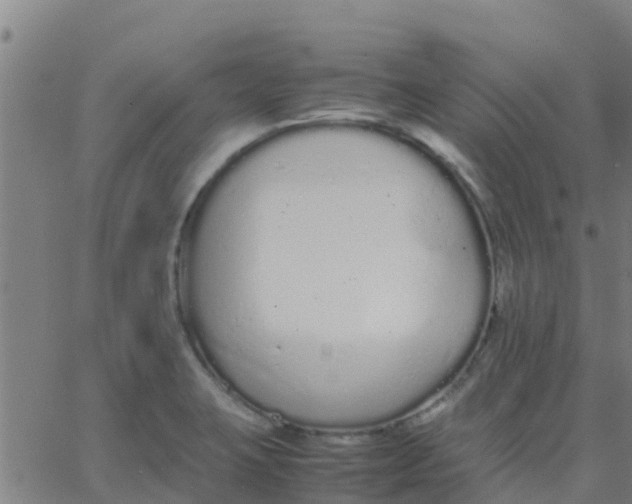 X0000066081423200603311924