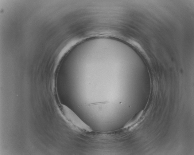 X0000066081424200603311924