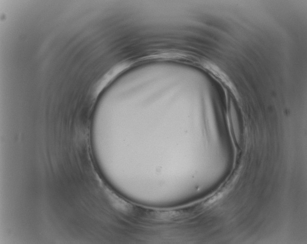 X0000066081425200603311924