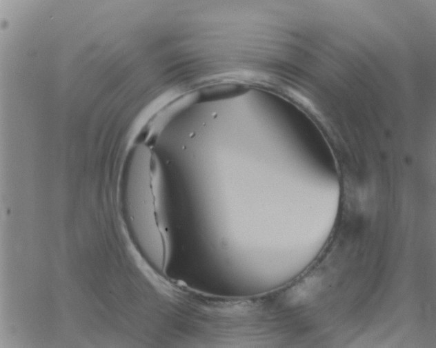 X0000066081426200603311924