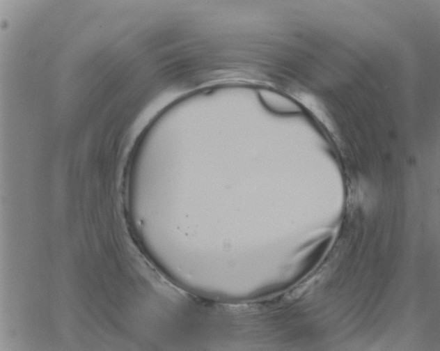 X0000066081427200603311924