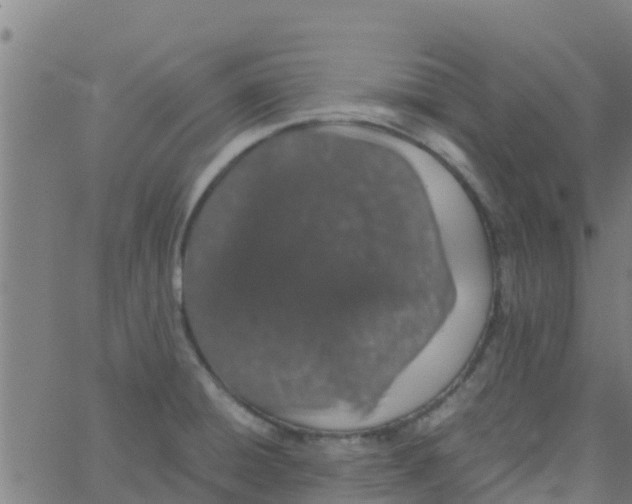 X0000066081428200603311924