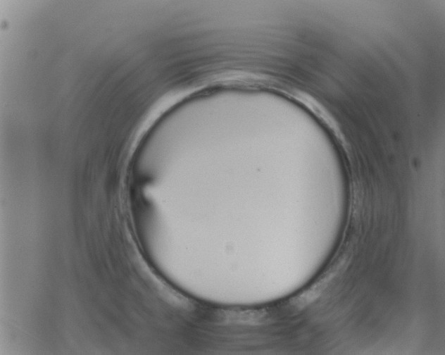 X0000066081429200603311924