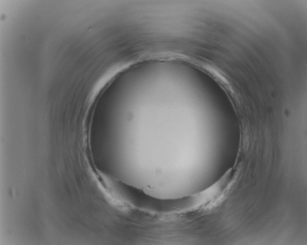 X0000066081430200603311924