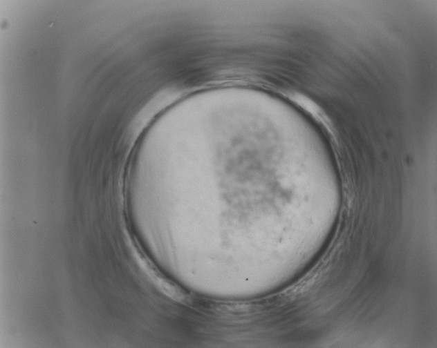 X0000066081431200603311924