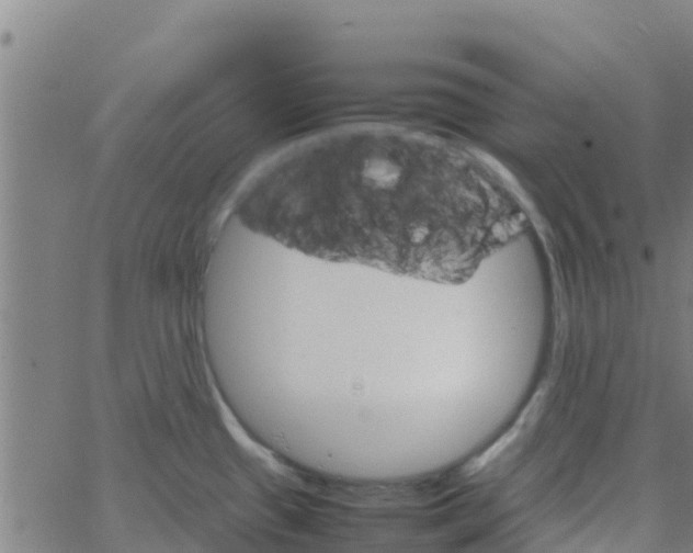 X0000066081433200603311924