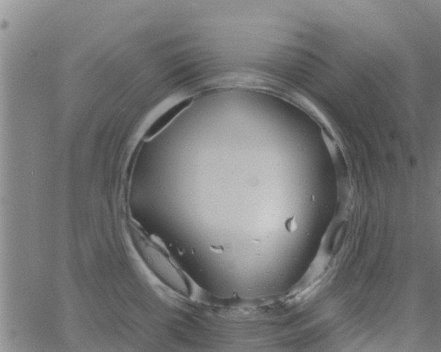 X0000066081434200603311924