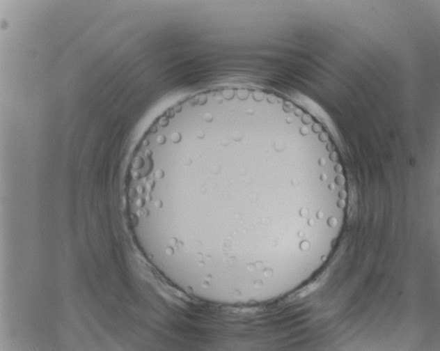 X0000066081435200603311924