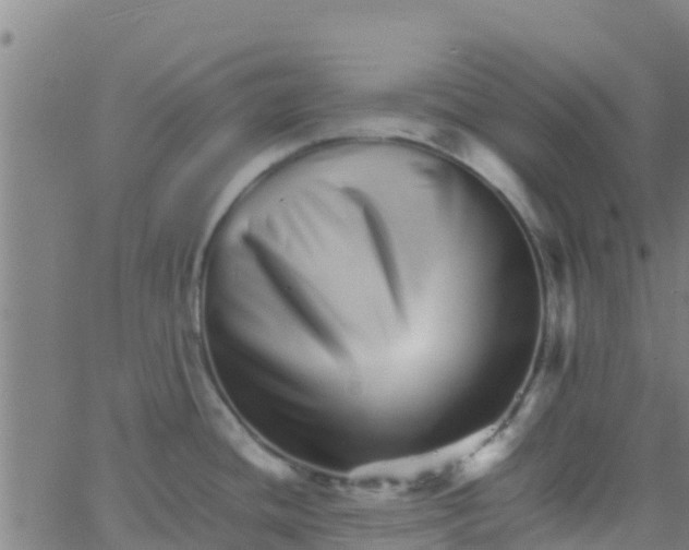 X0000066081436200603311924