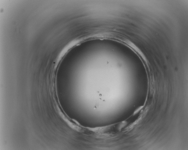 X0000066081437200603311924