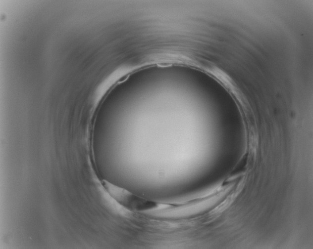 X0000066081438200603311924