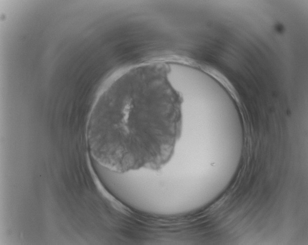 X0000066081439200603311924