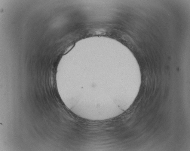 X0000066081442200603311923