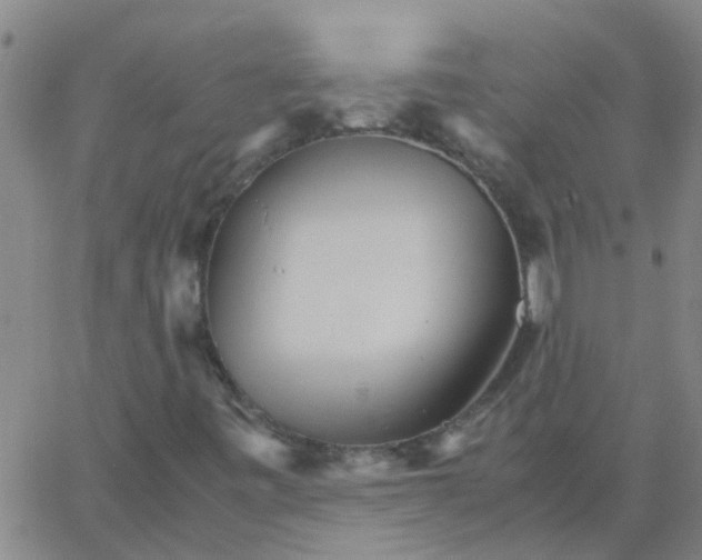 X0000066081443200603311923