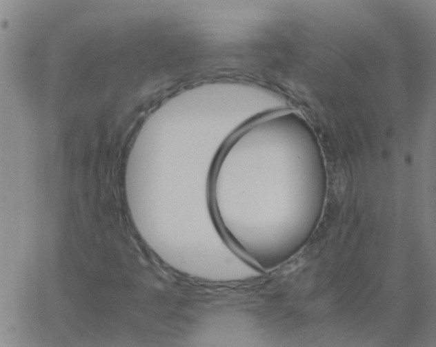 X0000066081445200603311923