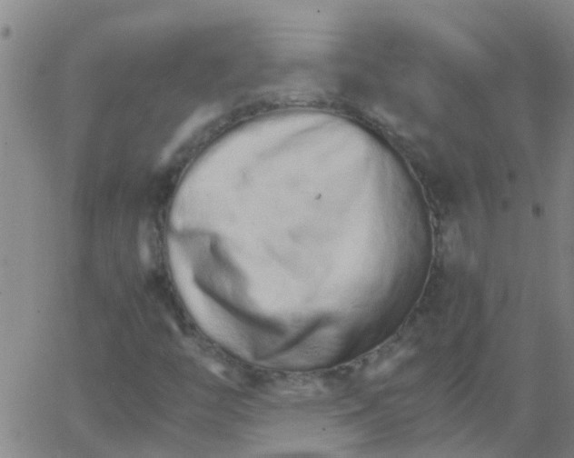 X0000066081446200603311923