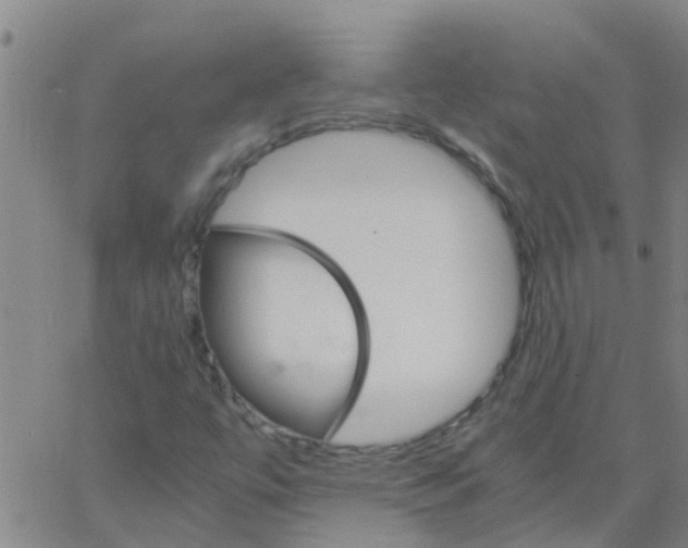 X0000066081447200603311923