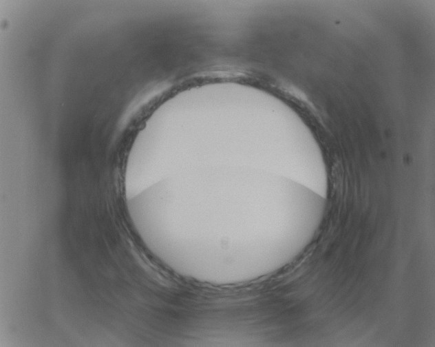 X0000066081448200603311923