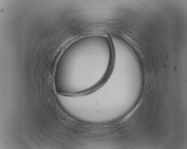 X0000066081449200603311923