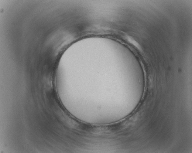 X0000066081451200603311923