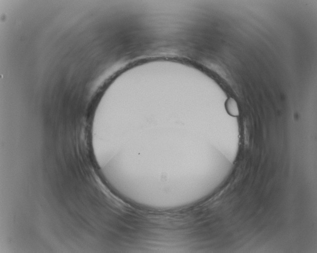 X0000066081452200603311923