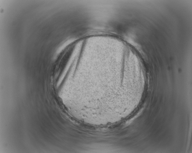 X0000066081453200603311923