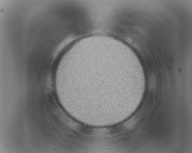 X0000066081454200603311923