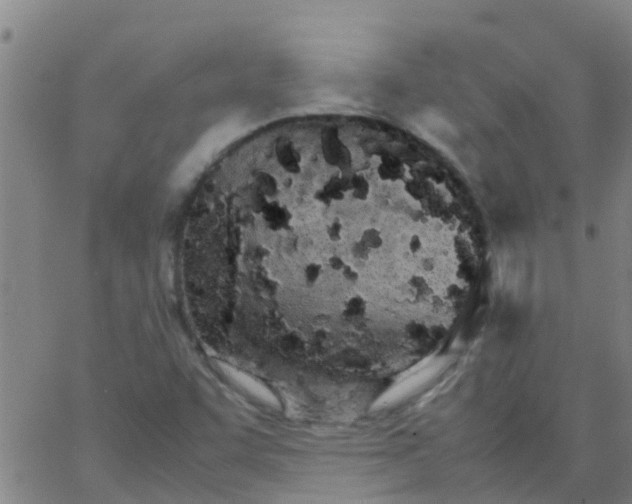 X0000066081455200603311923