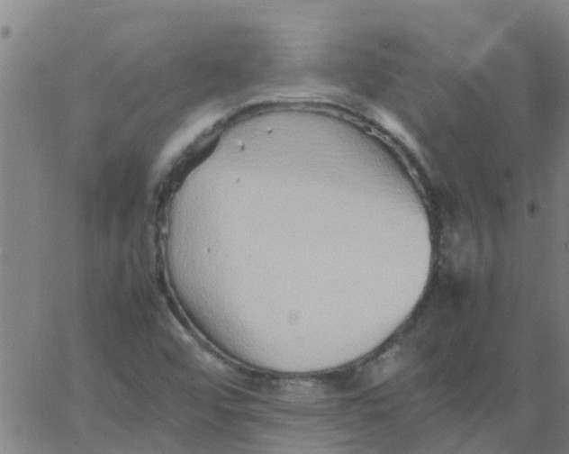 X0000066081456200603311923