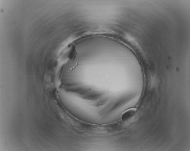 X0000066081457200603311923