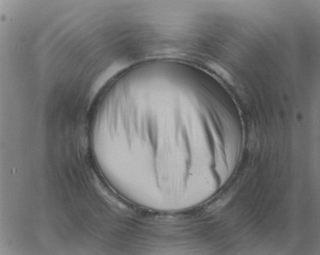 X0000066081458200603311923