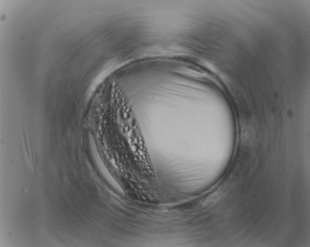 X0000066081459200603311923