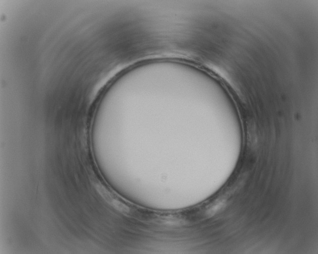 X0000066081460200603311923