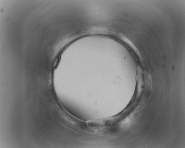 X0000066081461200603311923