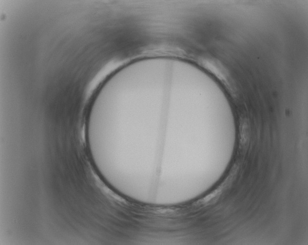 X0000066081462200603311923