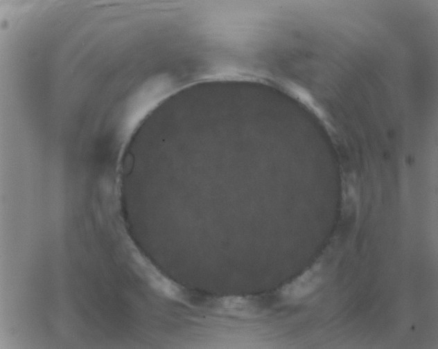 X0000066081463200603311923