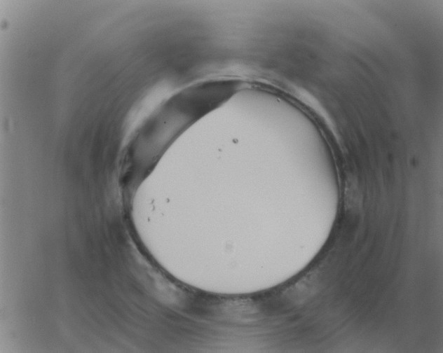 X0000066081464200603311923