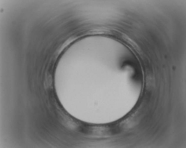 X0000066081465200603311923