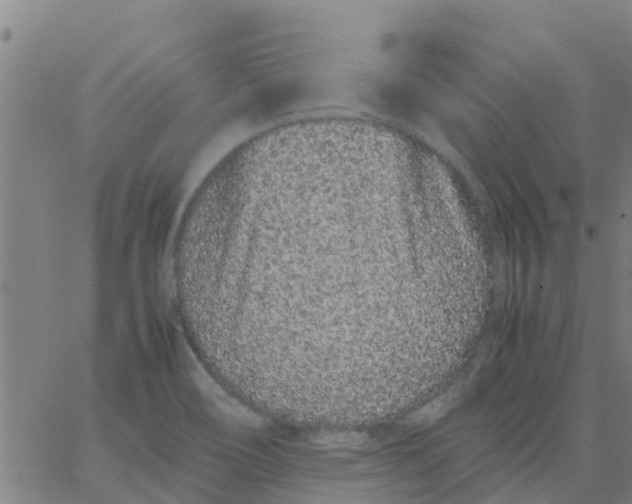 X0000066081466200603311923