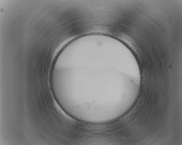 X0000066081468200603311923