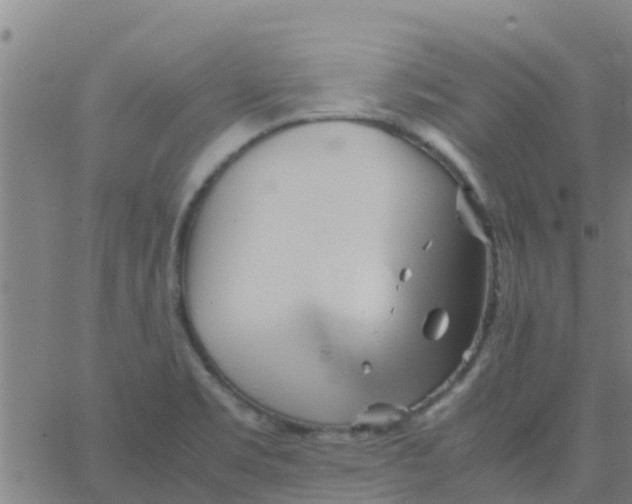 X0000066081469200603311923